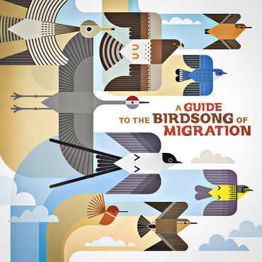 A Guide To The Birdsong Of Migration [Vinyl] (ONLINE ORDER ONLY)