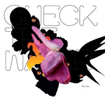 Various Artists - Check The Water [CD] (ONLINE ORDER ONLY)