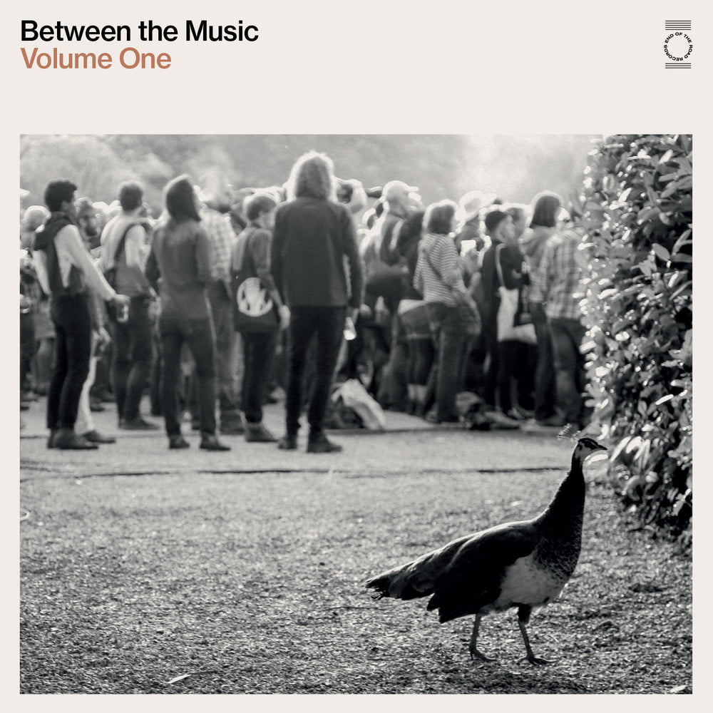 End Of The Road Presents: Between The Music [Vinyl]