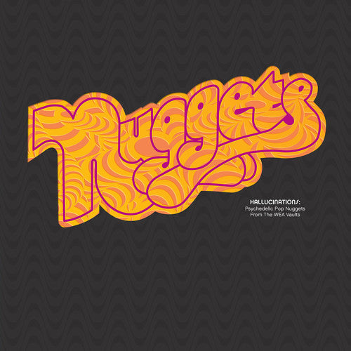 Hallucinations: Psychedelic Pop Nuggets From The WEA Vaults (RSD) (2 Lp's) [Vinyl] (ONLINE ORDER ONLY)