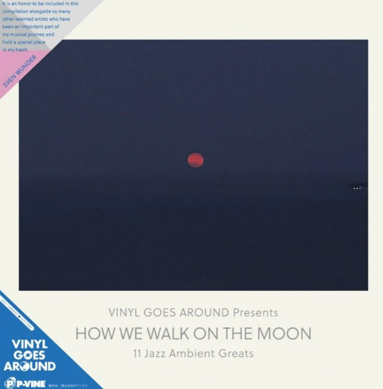 How We Walk On The Moon [Vinyl]