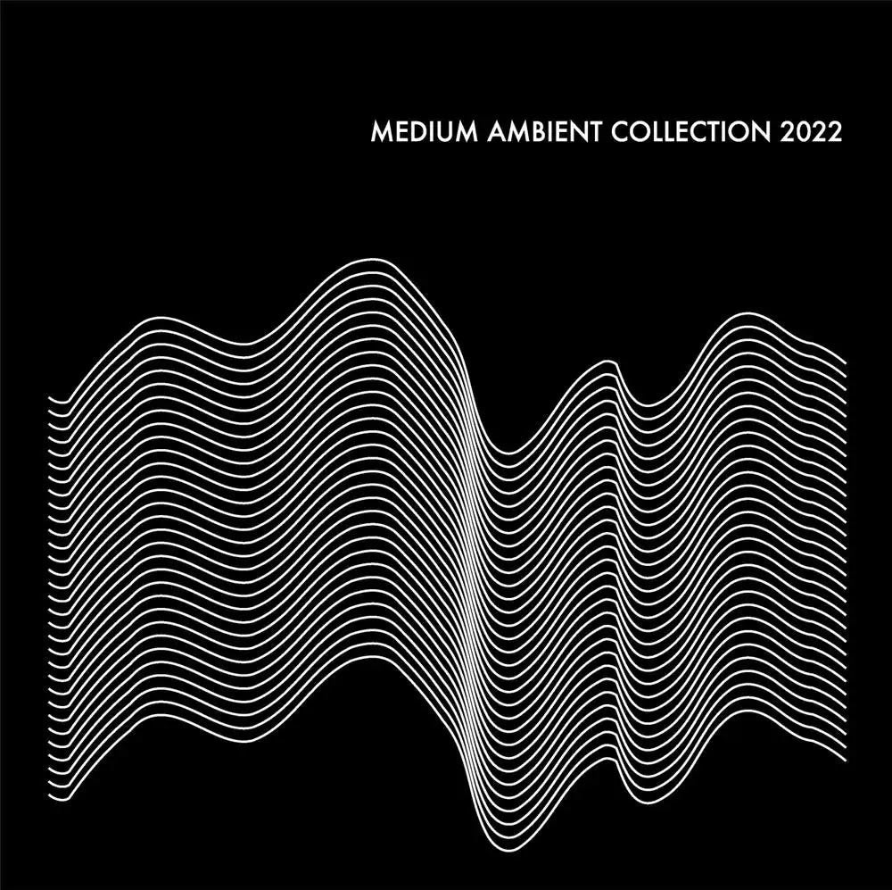 Medium Ambient Collection 2022 Black [Vinyl]
