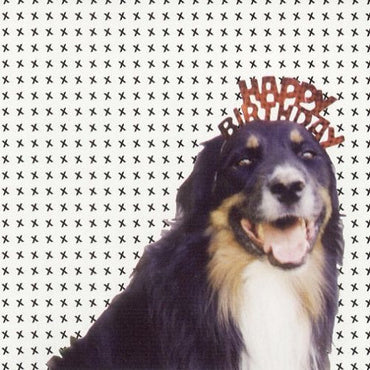 Mollie's Mix [CD] (ONLINE ORDER ONLY)