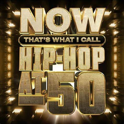 Now That's What I Call Hip-Hop At 50 (Limited Edition, Translucent Black Ice Colored Vinyl) (2 Lp) [Vinyl] (ONLINE ORDER ONLY)