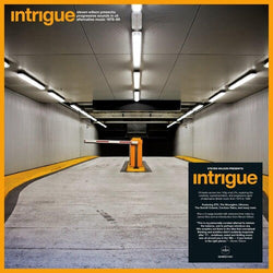 Various Artists - Steven Wilson Presents: Intrigue-Progressive Sounds In Uk Alternative Music 1979-89 (140-Gram Black Vinyl) [Import] (2 Lp's) [Vinyl]