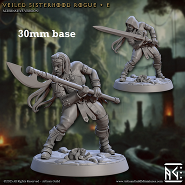 Veiled Sisterhood Rogue: Sculpt E (Female Human Fighter) (Online Only)