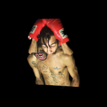 Velvet Negroni - Bulli [CD] (ONLINE ORDER ONLY)