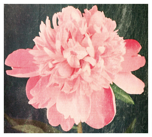 VICTORIES AT SEA - A Place To Stay [CD] (ONLINE ORDER ONLY)