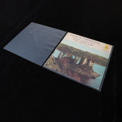 Vinyl Styl® 12 Inch Record Outer Sleeve Polyethylene - 1000 Count Bulk (Clear) (Large Item, Ships in Own Container) [Sleeves] (ONLINE ORDER ONLY)
