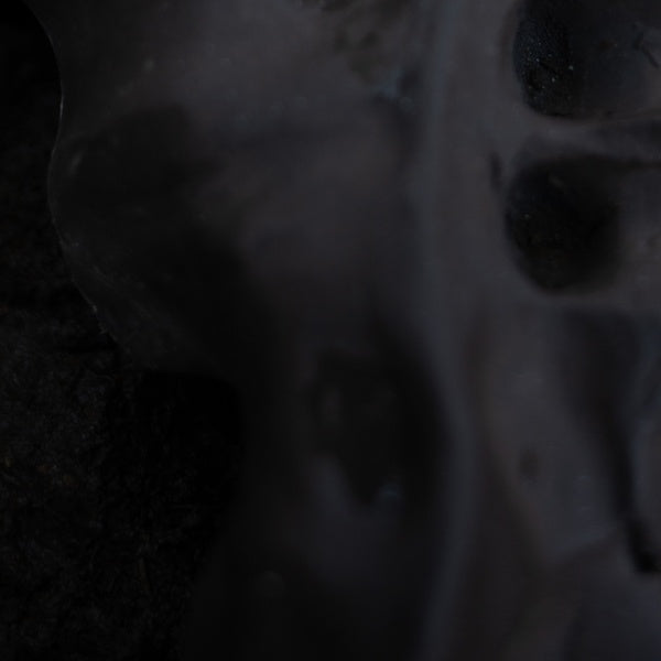 VITO GATTO - Evolve [Vinyl]