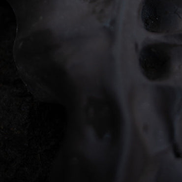 VITO GATTO - Evolve [Vinyl]