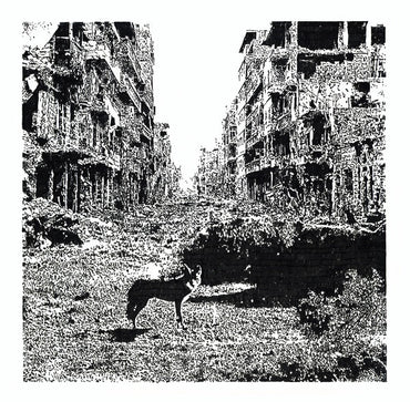 VOX LOW - Keep On Falling [CD] (ONLINE ORDER ONLY)