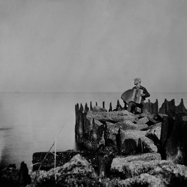 A Hole In The Fence [Vinyl] (ONLINE ORDER ONLY)