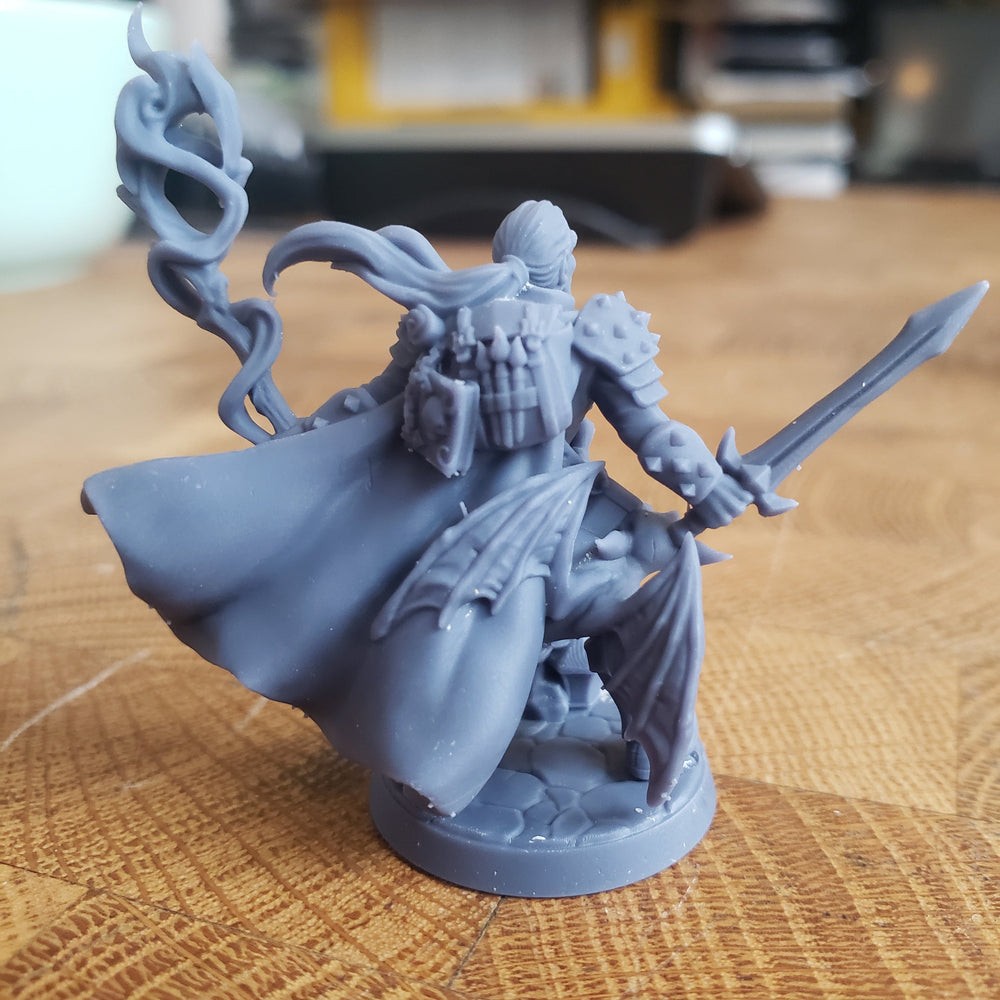 Wappellious Spellbrush (Male Human Wizard / Rogue) (Online Only)