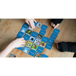 Audubon - Bird Matching Game (ONLINE ORDER ONLY)