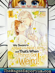 We Swore To Meet in the Next Life and That's When Things Got Weird Vol 3 (Online Order Only)