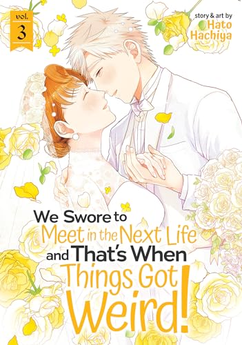 We Swore To Meet in the Next Life and That's When Things Got Weird Vol 3 (Online Order Only)