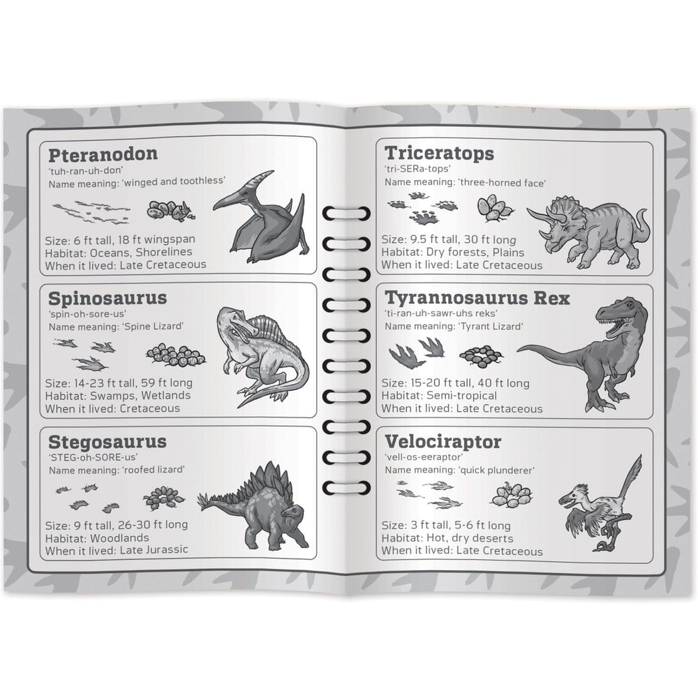 Dinosaur World Dino Tracks Card Game (ONLINE ORDER ONLY)