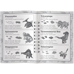 Dinosaur World Dino Tracks Card Game (ONLINE ORDER ONLY)