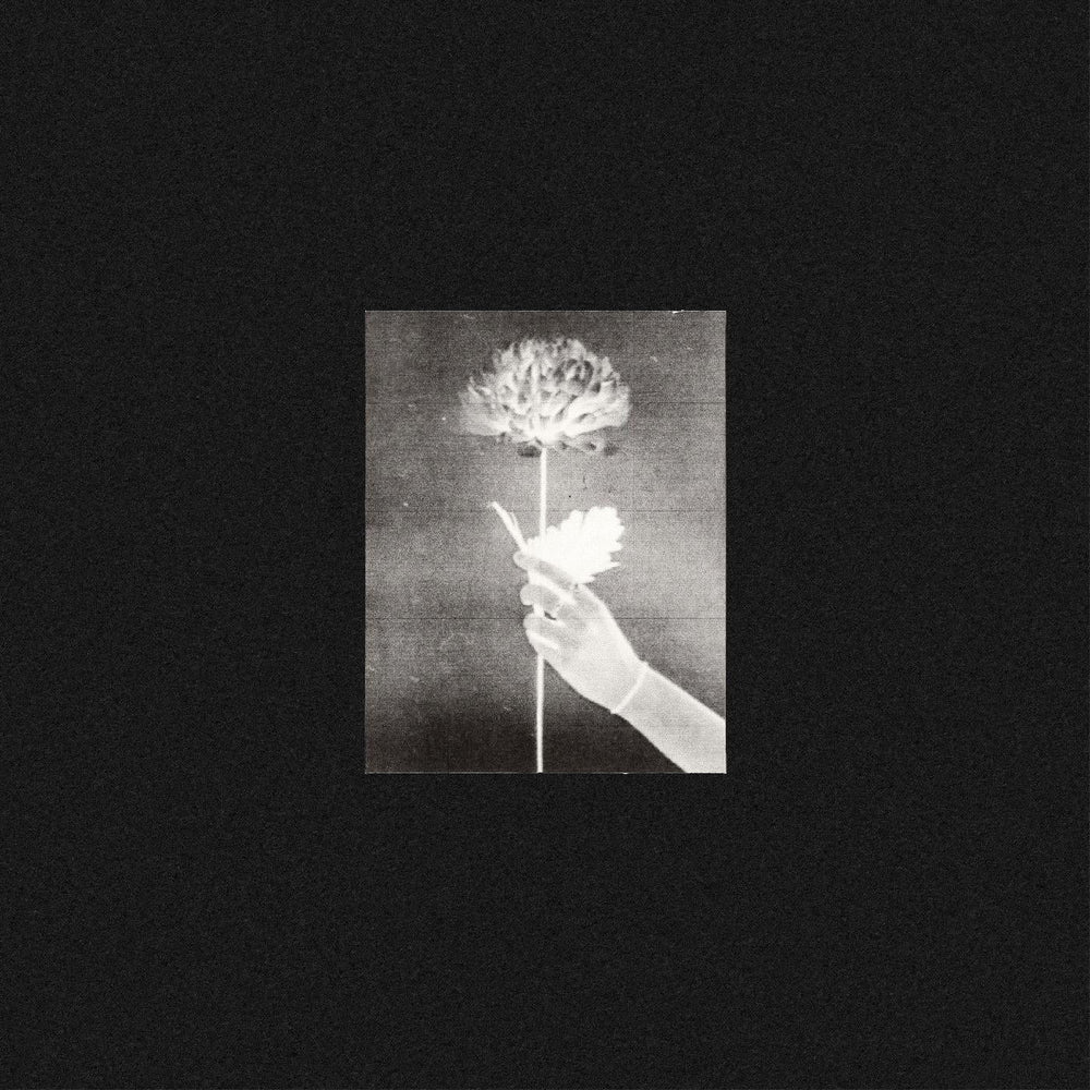 White Flowers - Day By Day (BLUE VINYL) [Vinyl]