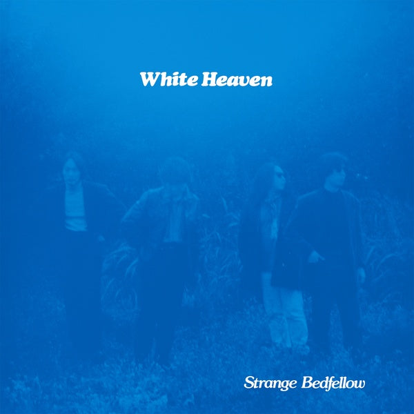 Strange Bedfellow [Vinyl]