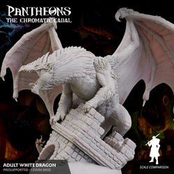 3D Printed Sordane Publishing Adult White Dragon Pantheons The Chromatic Cabal 28 32mm D&D (Online Only)