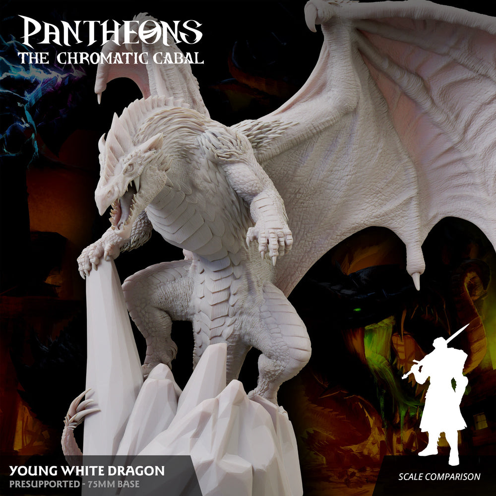 3D Printed Sordane Publishing Young White Dragon Pantheons The Chromatic Cabal 28 32mm D&D (Online Only)
