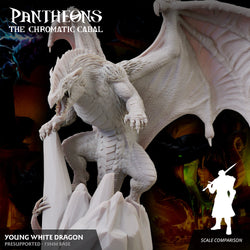 3D Printed Sordane Publishing Young White Dragon Pantheons The Chromatic Cabal 28 32mm D&D (Online Only)