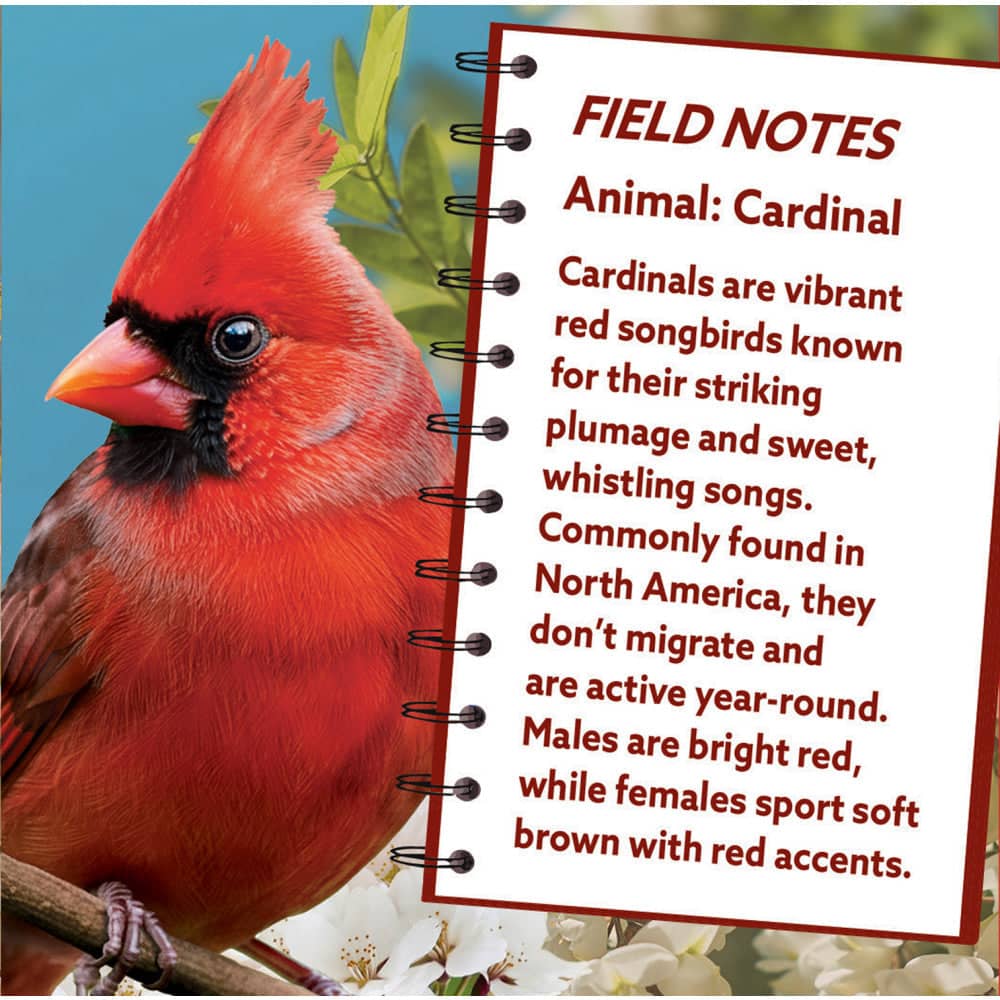 Cardinal 100 Piece Shaped Jigsaw Puzzle (ONLINE ORDER ONLY)