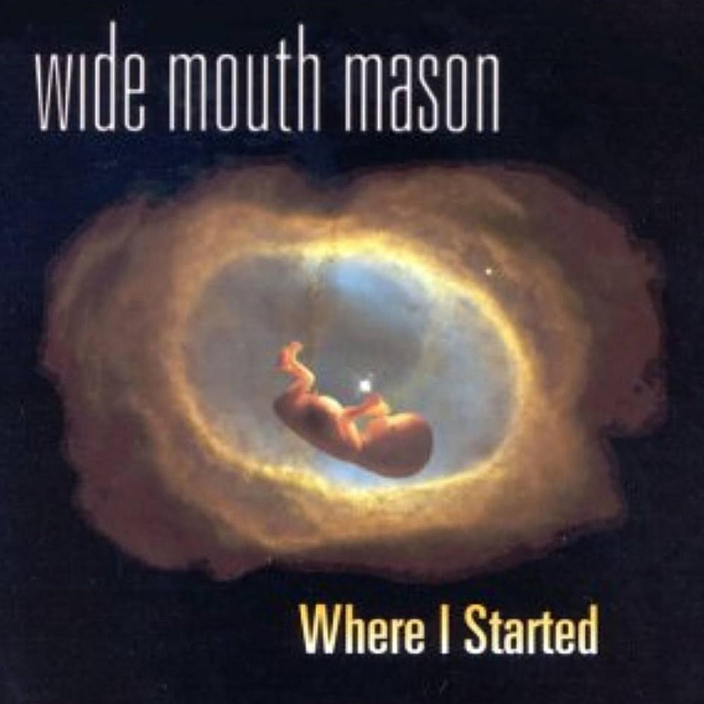 Wide Mouth Mason - Where I Started [Vinyl] (ONLINE ORDER ONLY)