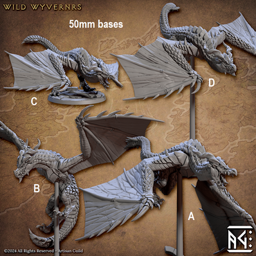 Wild Wyverns (Online Only)