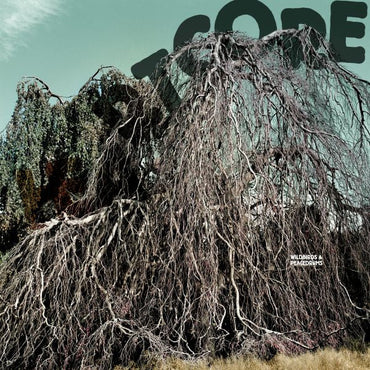 Wildbirds & Peacedrums - Heartcore [CD] (ONLINE ORDER ONLY)