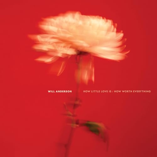 How Little Love Is / How Worth Everything [Vinyl] (ONLINE ORDER ONLY)