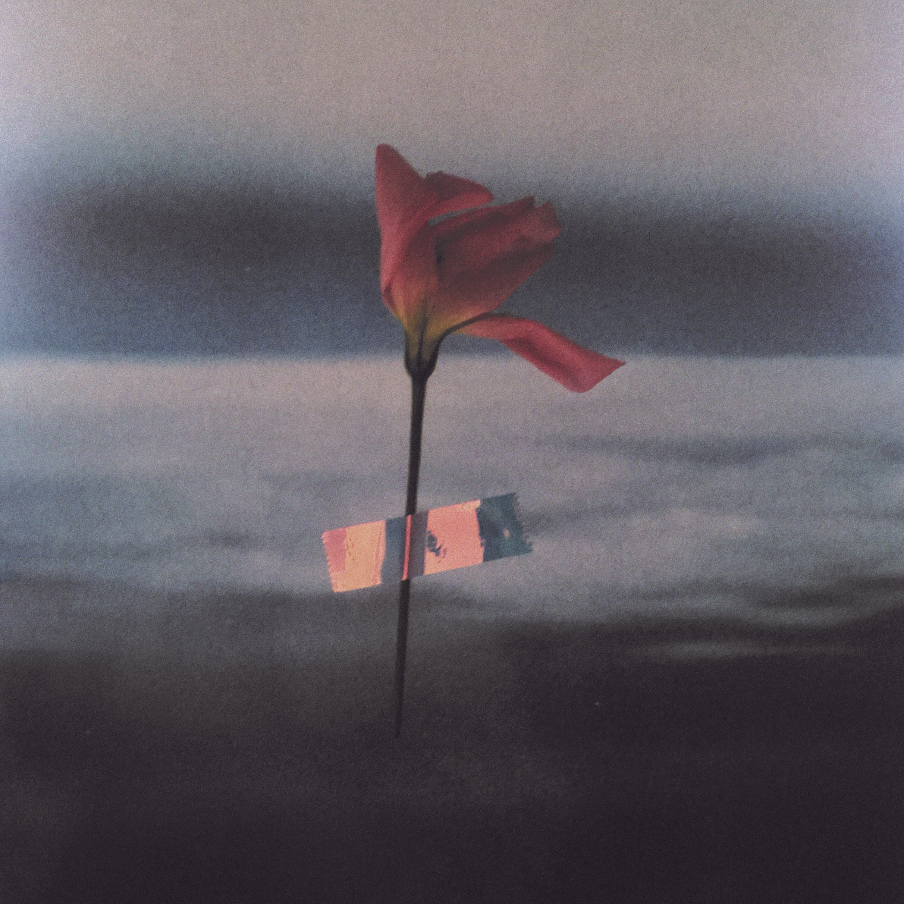 Paralanguage (COLOR VINYL) [Vinyl] (ONLINE ORDER ONLY)