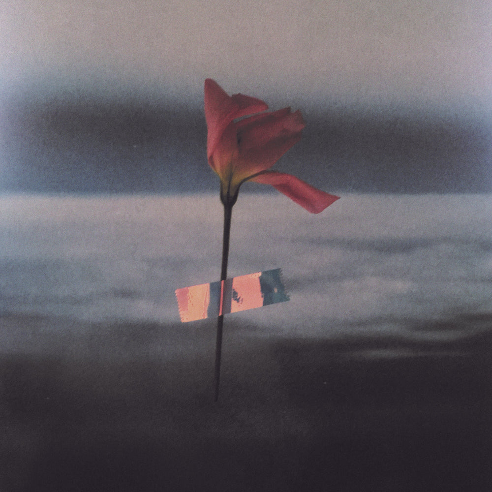 Paralanguage (COLOR VINYL) [Vinyl] (ONLINE ORDER ONLY)