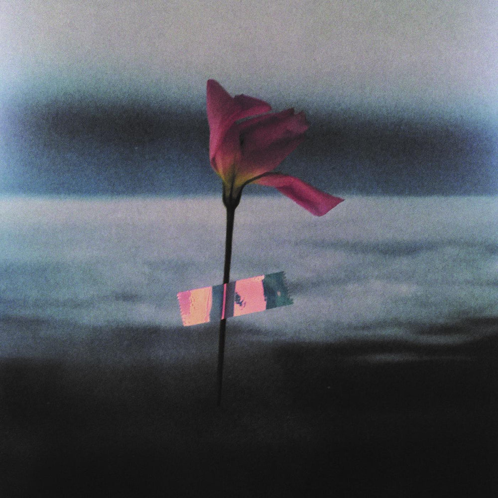 Paralanguage [CD]