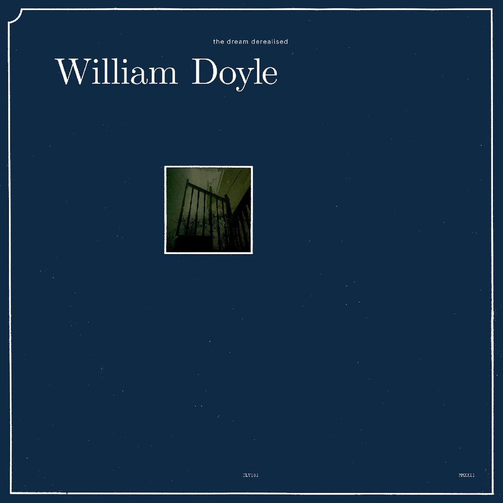 The Dream Derealised [Vinyl]