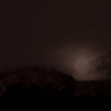 WILLIAM FOWLER COLLINS - Perdition Hill Radio [CD] (ONLINE ORDER ONLY)