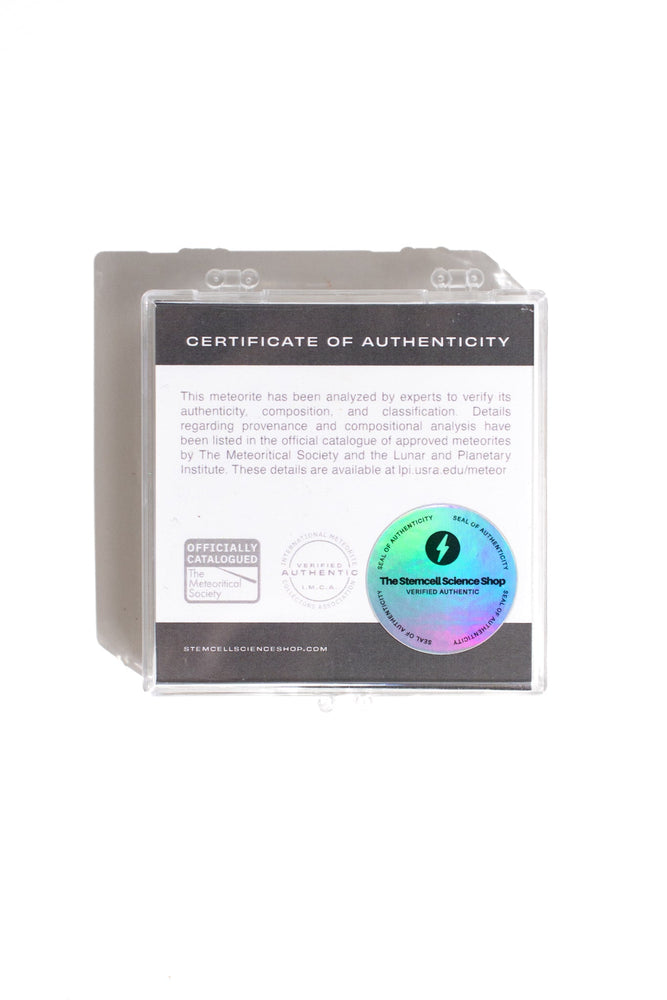 Winonite Meteorite NWA 13790 (ONLINE ORDER ONLY)