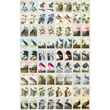Audubon Memory Game (ONLINE ORDER ONLY)