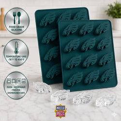 Philadelphia Eagles Ice Cube Tray