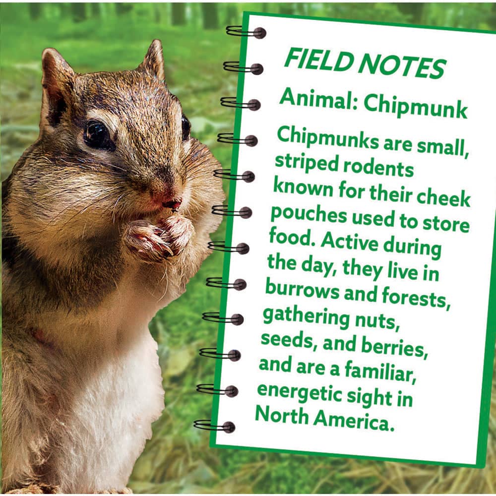 Chipmunk 100 Piece Shaped Jigsaw Puzzle (ONLINE ORDER ONLY)
