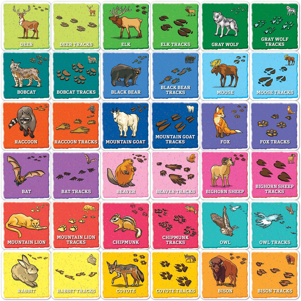 Jr Ranger - Animal Tracks Matching Game (ONLINE ORDER ONLY)
