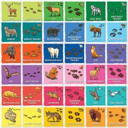Jr Ranger - Animal Tracks Matching Game (ONLINE ORDER ONLY)