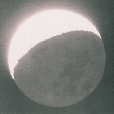 Moon in Earthlight [CD]