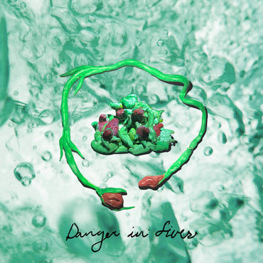 Danger In Fives [CD] (ONLINE ORDER ONLY)