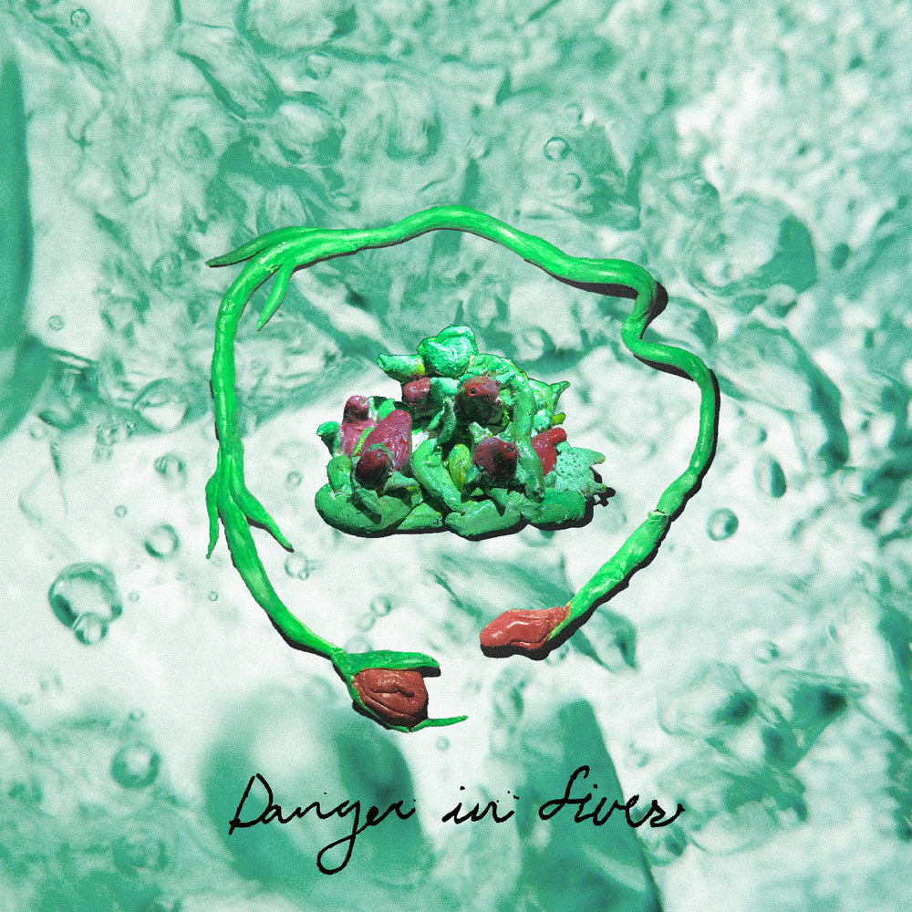 Danger In Fives [CD]