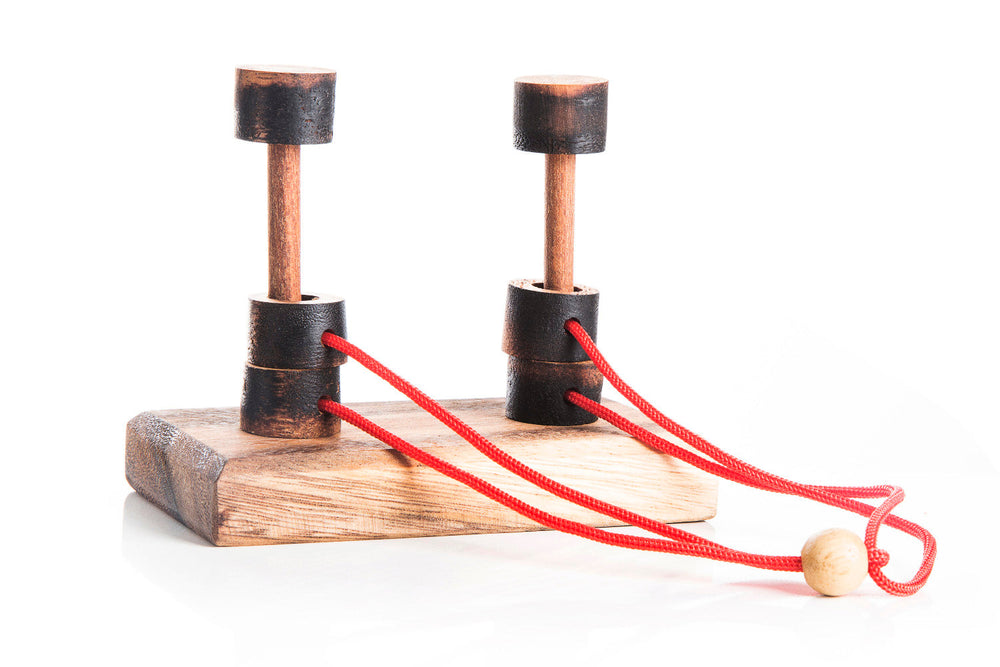 The Twin - Japanese Brain Teaser Puzzle (Online Order Only)