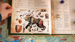 Wondrous Expeditions - Forests (Hardcover) (ONLINE ORDER ONLY)