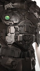 Wulf Pack Armor Full Set. (ONLINE ORDER ONLY)
